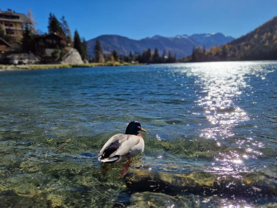 Superbe Appartement Champex-Lac Avec Piscine Et Sauna Exterior foto